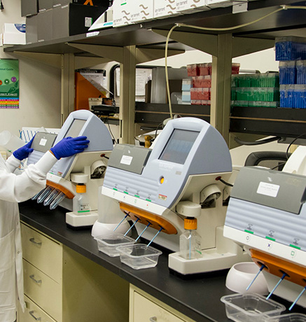 Imaging Core Laboratory - SynergAsia Health